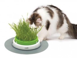 CatitSenses20GrassGardenKitgrsdispenser-20